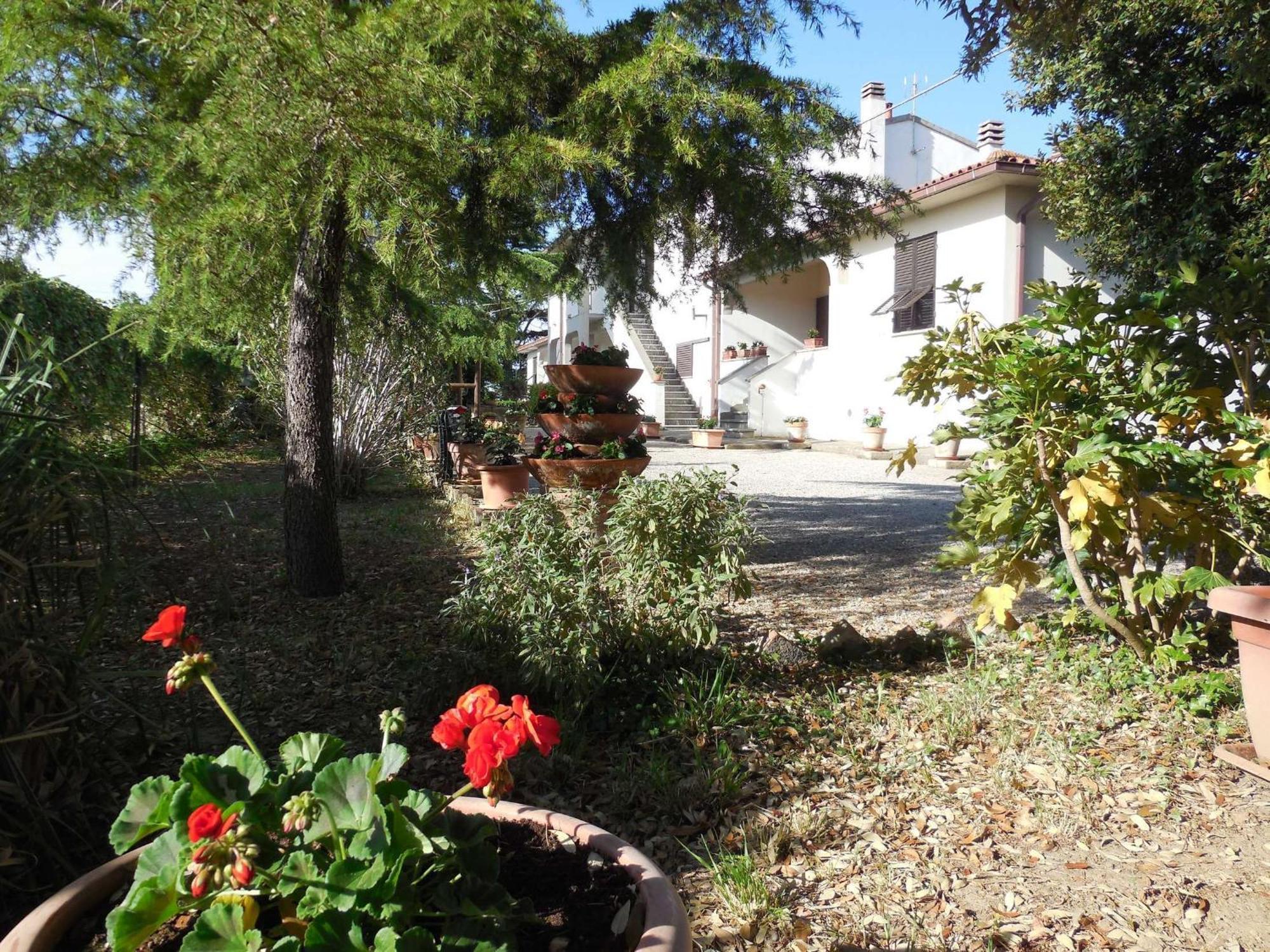 Podere Tre Cipressi Campiglia Marittima Quarto foto