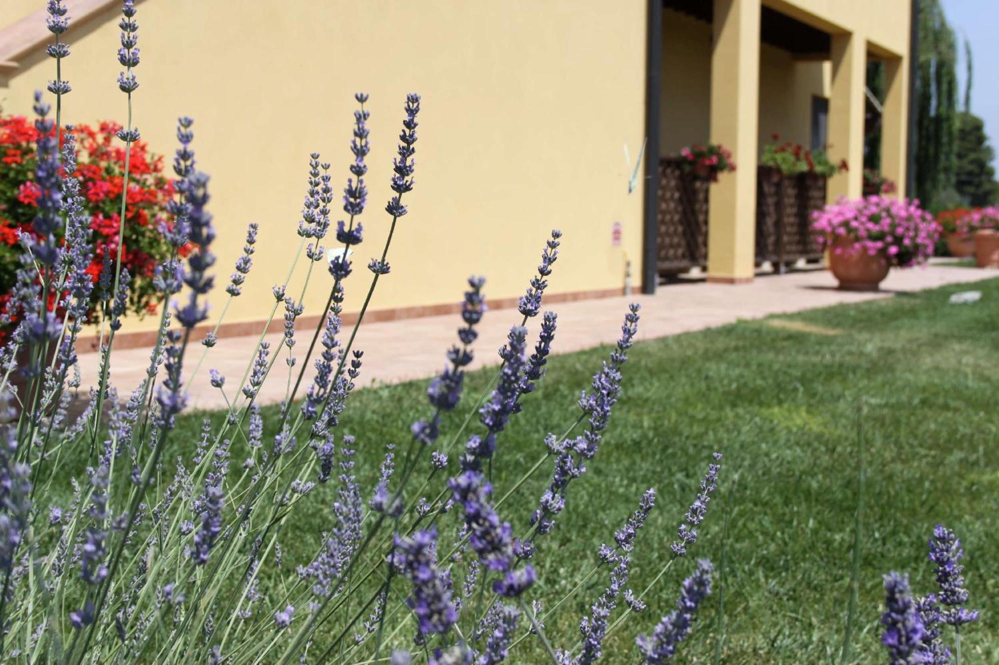 Podere Tre Cipressi Campiglia Marittima Exterior foto